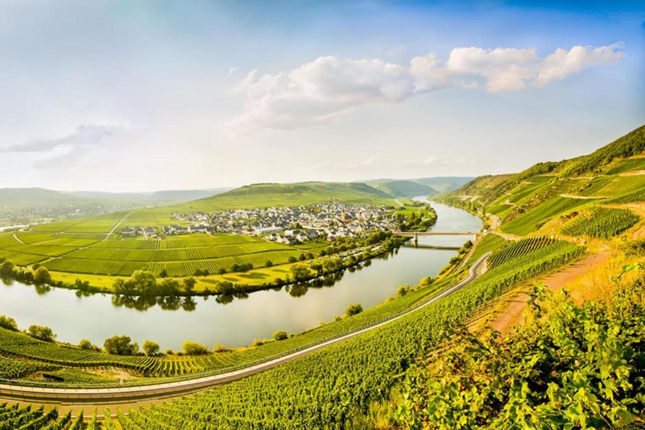 Weingut&Gästehaus Christoph Clüsserath Trittenheim Exterior foto