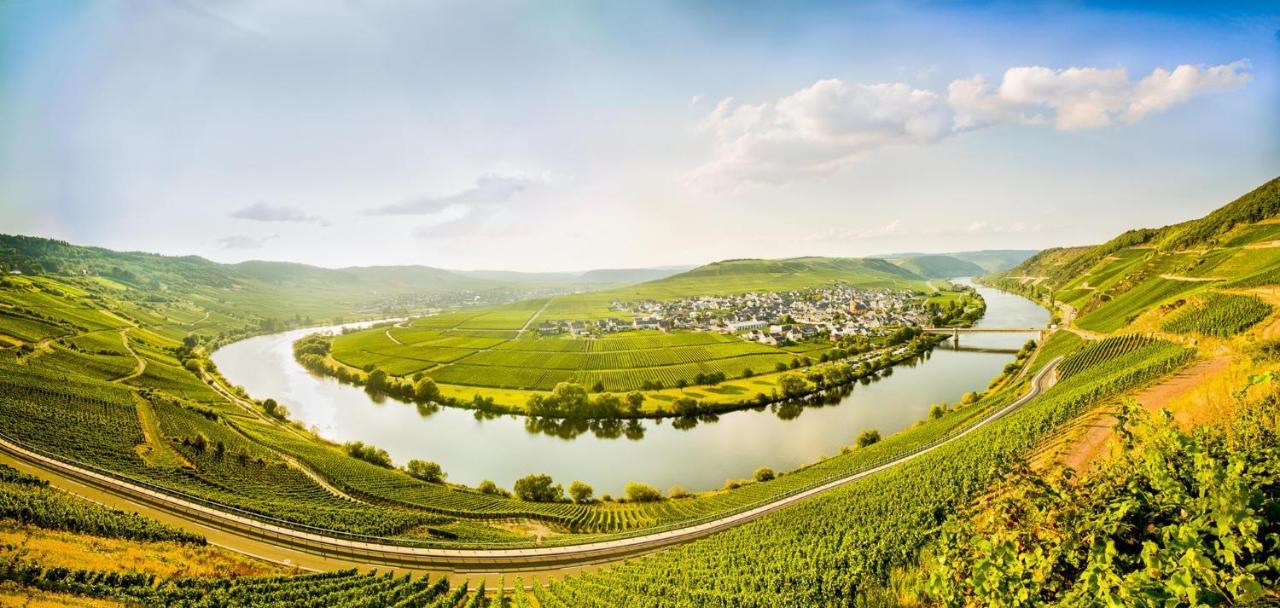 Weingut&Gästehaus Christoph Clüsserath Trittenheim Exterior foto
